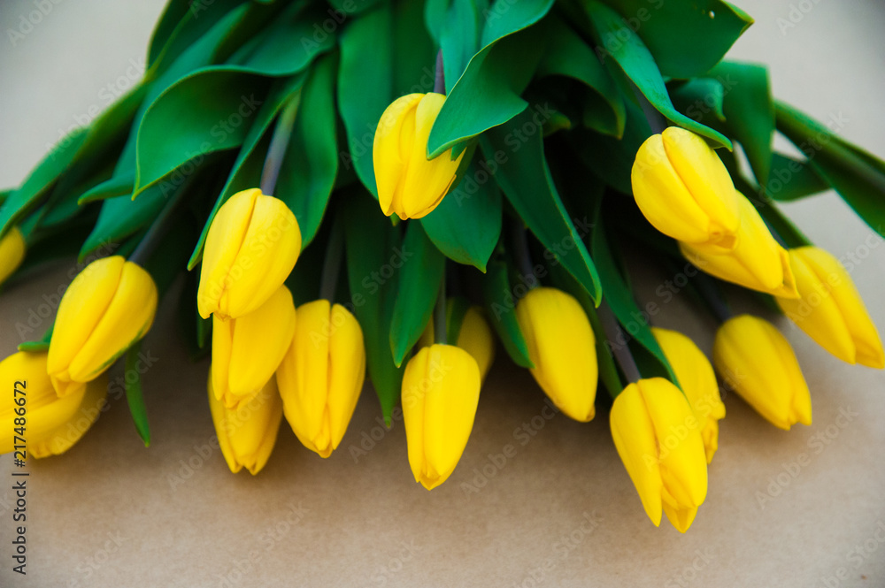 Obraz premium Spring scene of tulip field