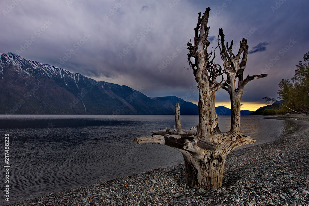 Fototapeta premium Russia. The South Of Western Siberia. Mountain Altai. Late spring on the shore of lake Teletskoye.
