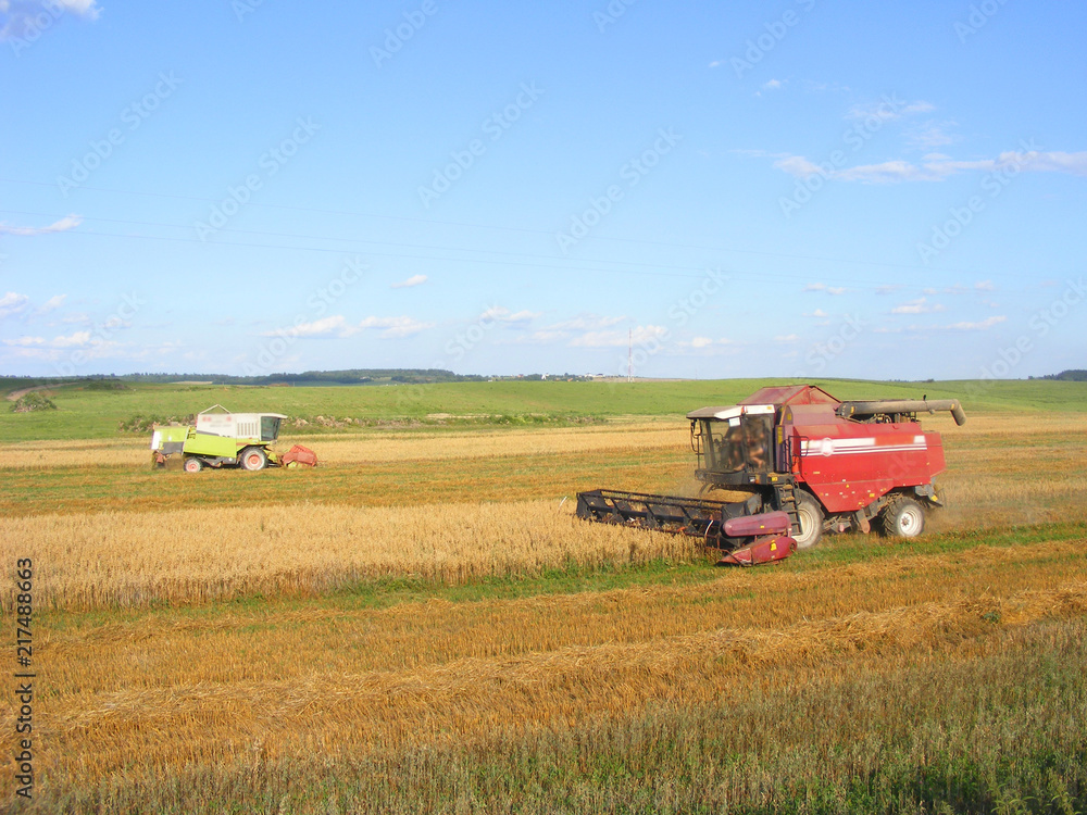 Combine harvester works at field, Belarus Combine harvester works at field, Belarus
