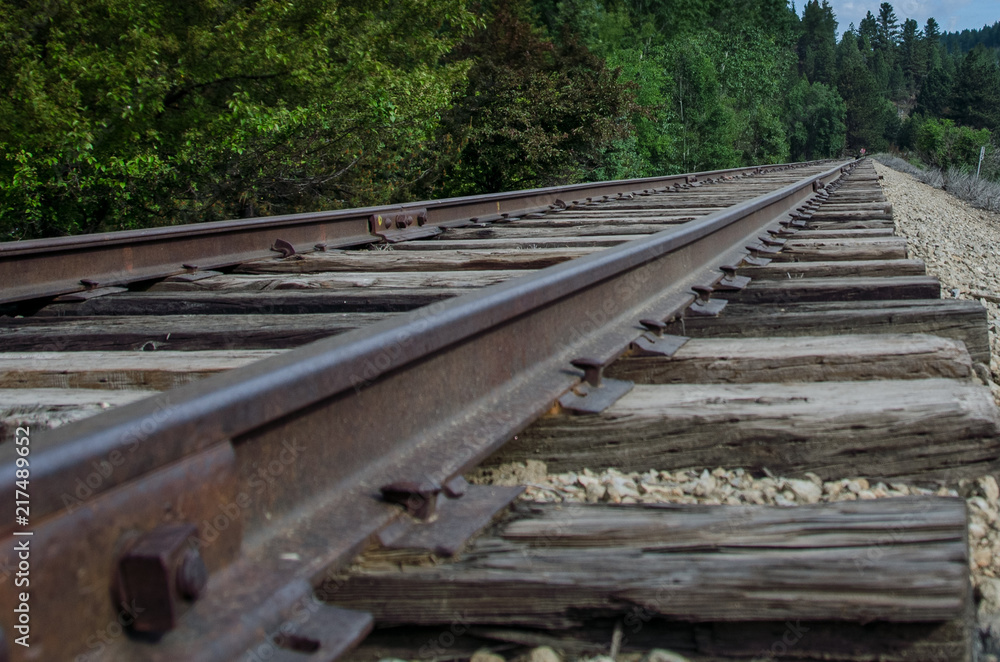 Long Silent Railroad Tracks Extending on and Waiting Patiently Long Silent Railroad Tracks Extending on and Waiting Patiently
