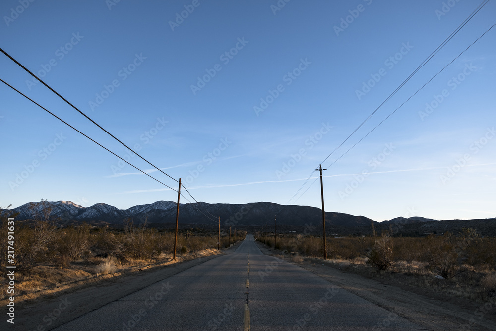 Late Winter Desert Road
