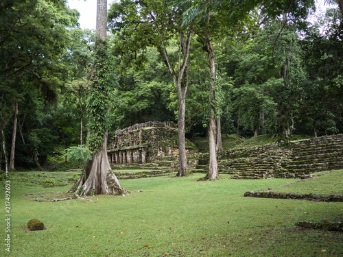 Mayan ruins in the jungle