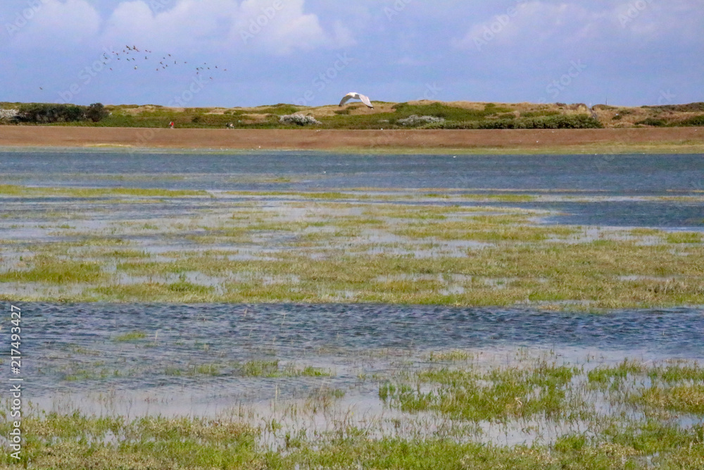 little seas on an island with cloudy sky