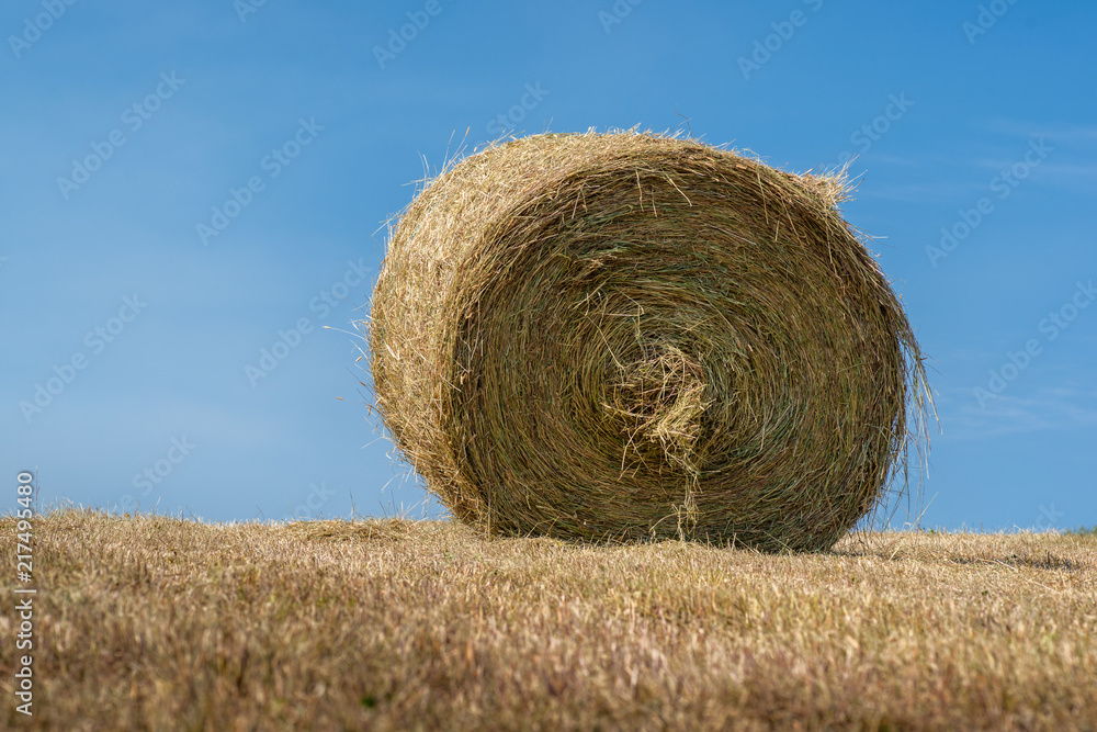 Haying Season - Round Bale against Blue Sky Haying Season - Round Bale against Blue Sky