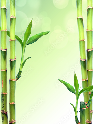 Fototapeta Naklejka Na Ścianę i Meble -  Fresh bamboo background with copy space