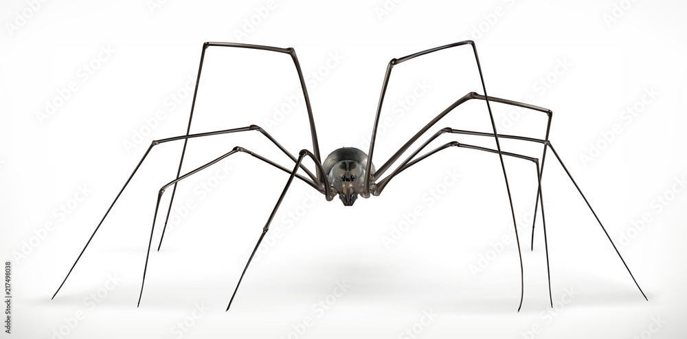 Realistic spider, halloween. 3d vector icon Realistic spider, halloween. 3d vector icon