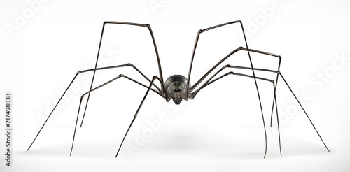 Realistic spider, halloween. 3d vector icon