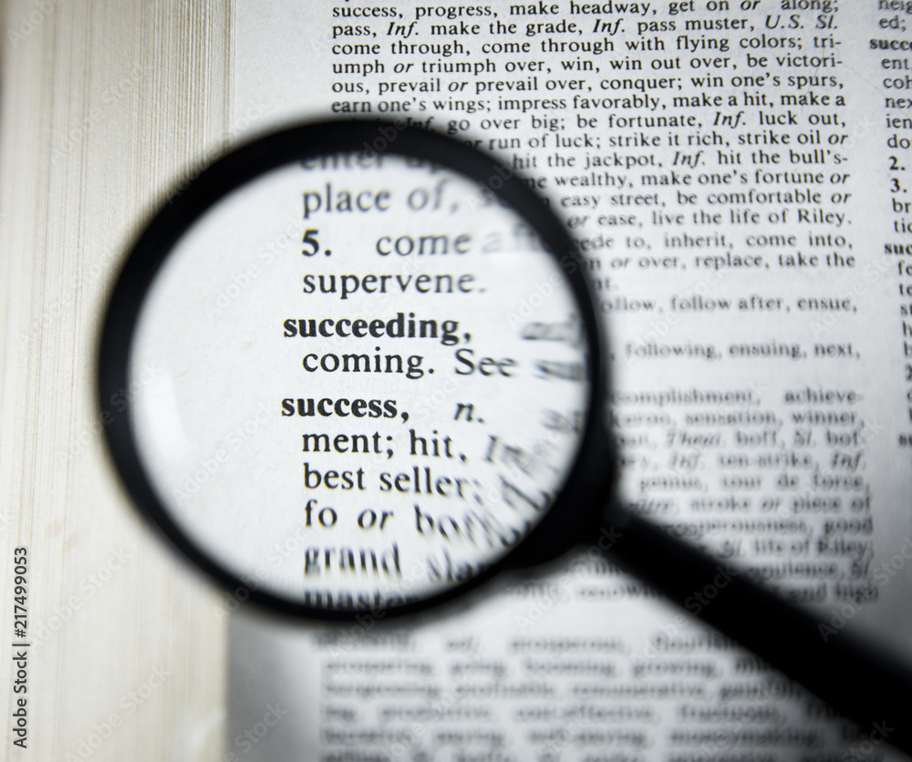 word success in dictionarry word success in dictionarry