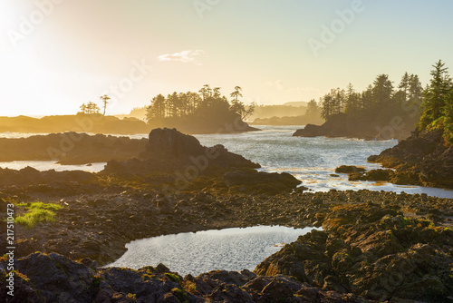 Shoreline at wild pacific trail in Ucluelet, Vancouver Island, BC