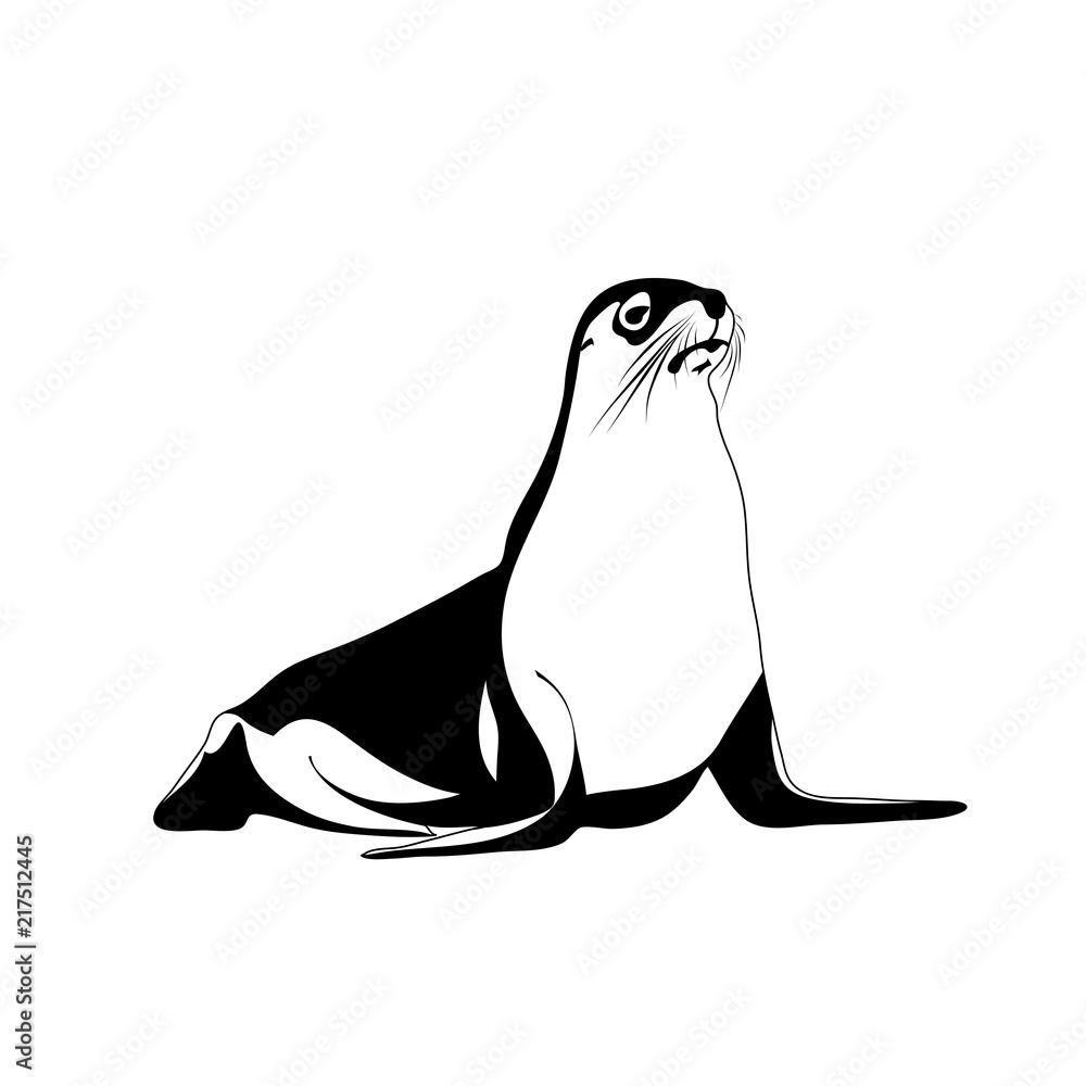 seal animal. vector logo. black and white image Stock Vector Adobe Stock