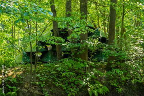 green boats stacked in the forest