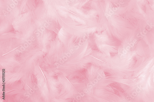 Pink feather textured background