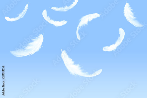 White bird feather falling in the air.
