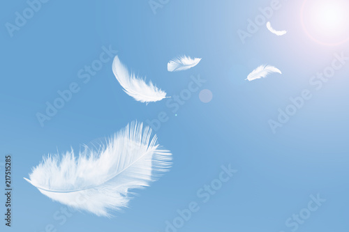Abstract white bird feather floating in the sky