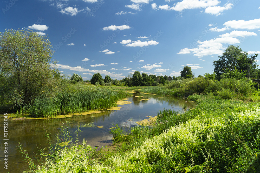 Fototapeta premium Year landscape with stream
