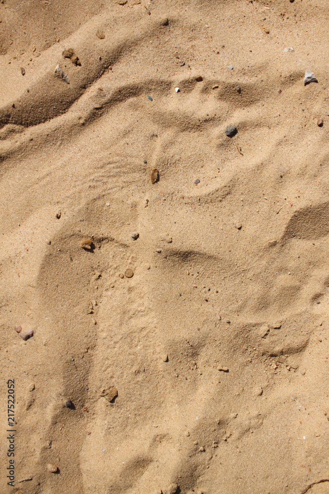 sand on the beach sand on the beach
