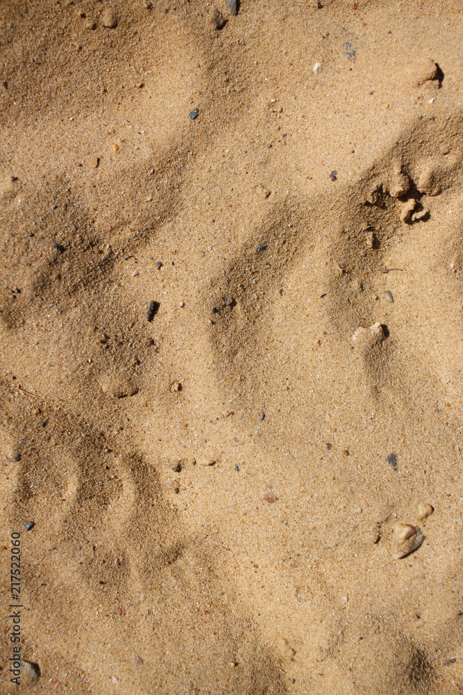 sand on the beach sand on the beach