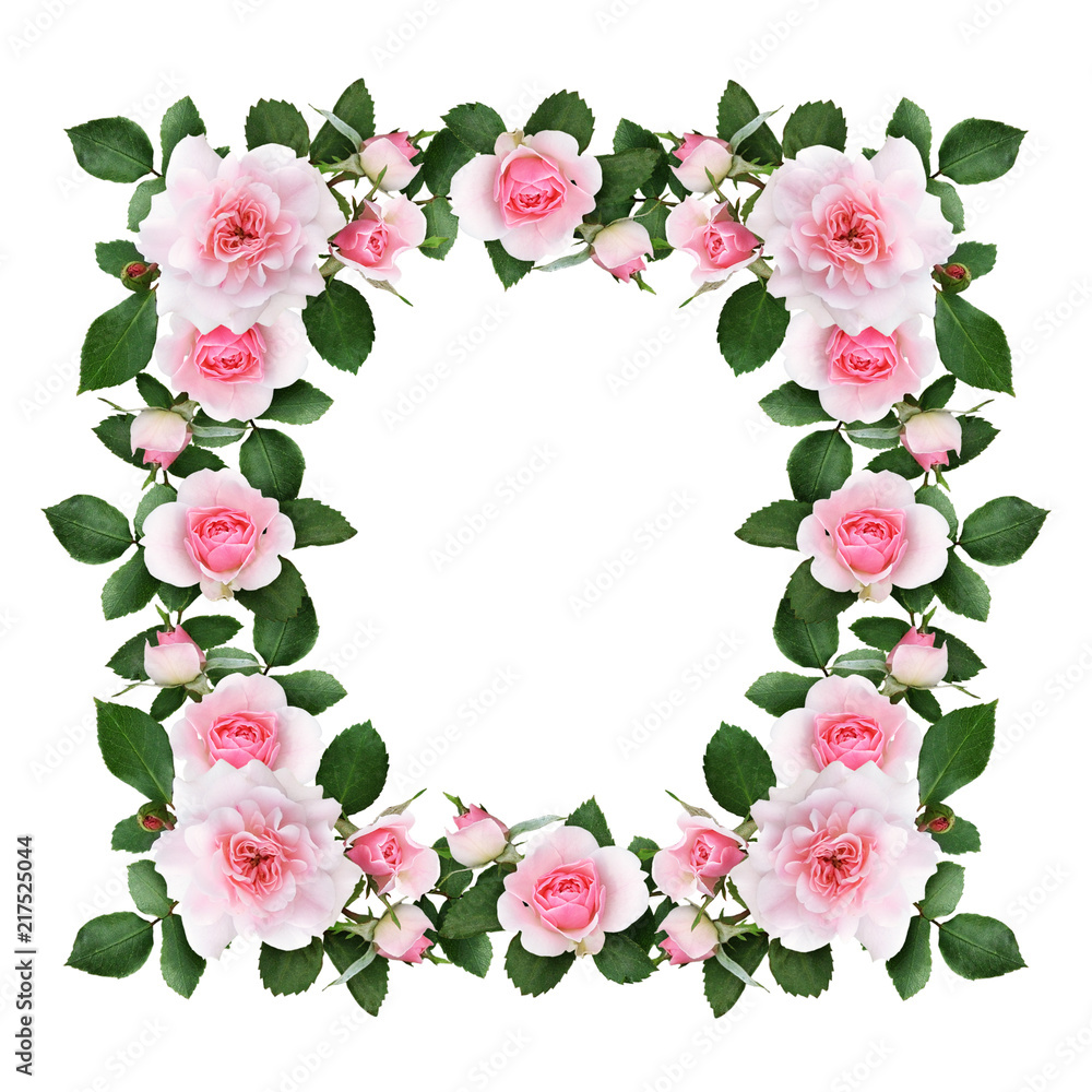 Pink rose flowers and green leaves in a floral frame