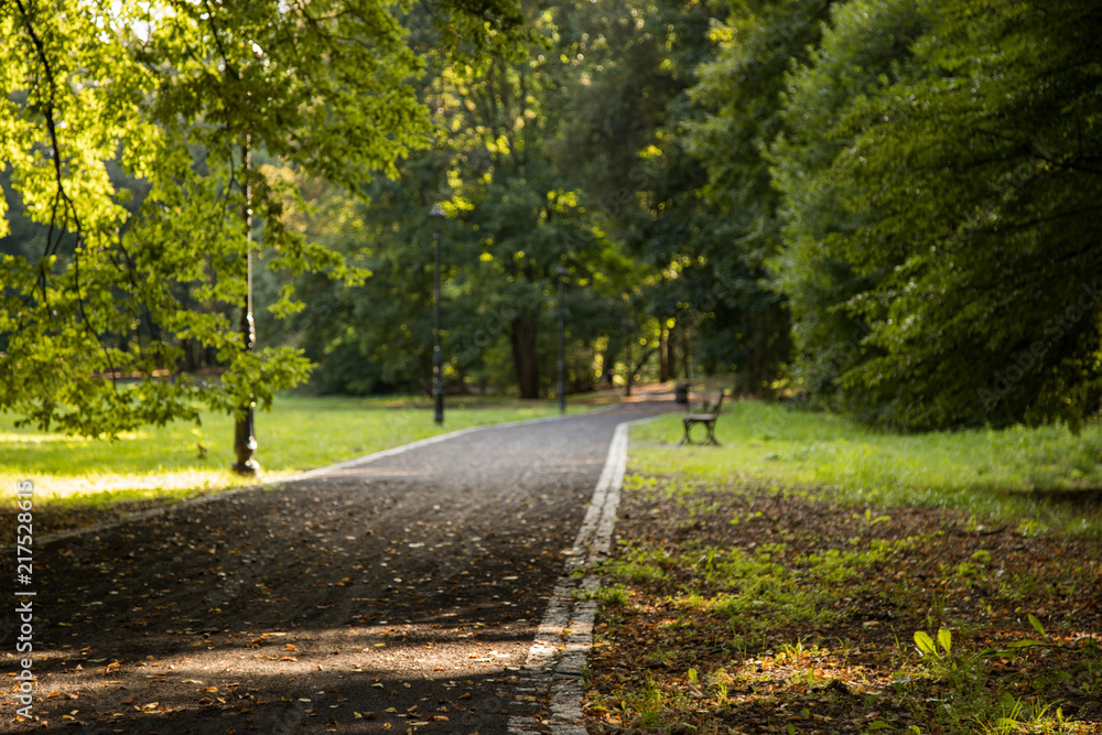 Fototapeta premium Uliczka parkowa