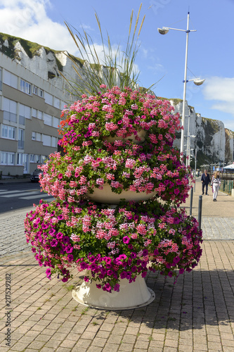 Fototapeta Naklejka Na Ścianę i Meble -  Géranium, Pétunia, Bac à fleurs, Le Tréport, Seine Maritime, région Normandie, 76