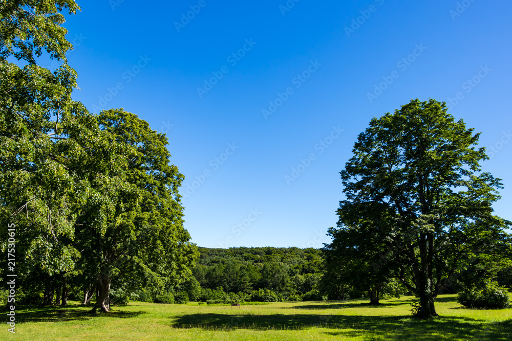 Fototapeta premium (青森県ｰ風景)観光地・萱野茶屋高原の風景１