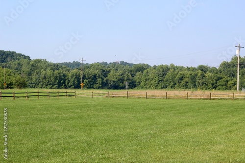 The green grass field and pasture in the countryside.  photo