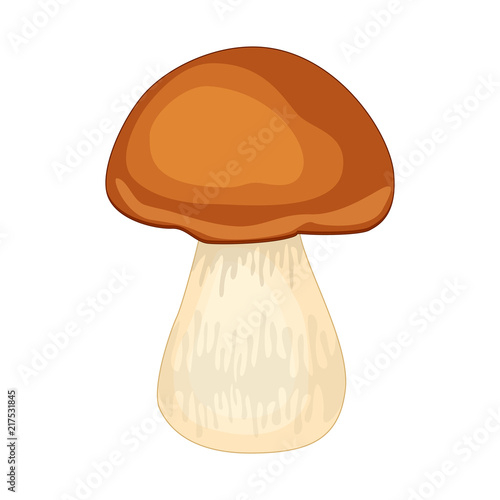 Cartoon porcini mushroom isolated on white background.