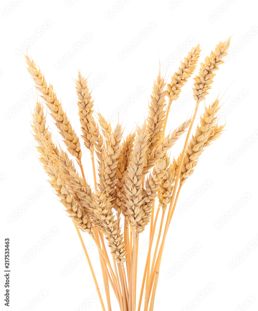 Ripe ears of wheat. Ripe ears of wheat.