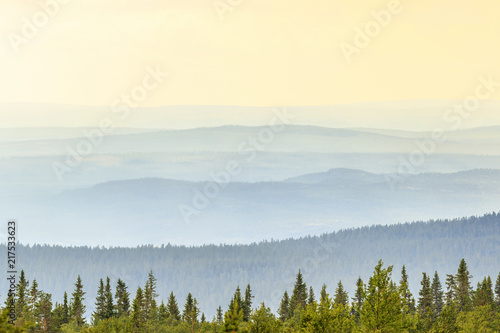 Rolling woodland landscape view with shadings in sunrise