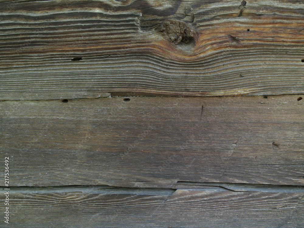Fototapeta premium Very old tree texture