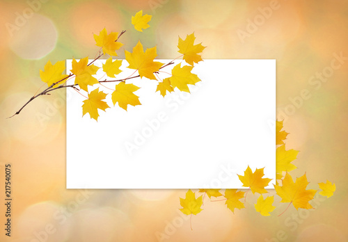 Autumn maple twig with yell...