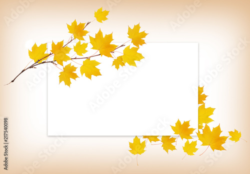 Autumn maple twig with yell...