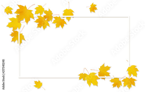 Autumn maple twig with yell...