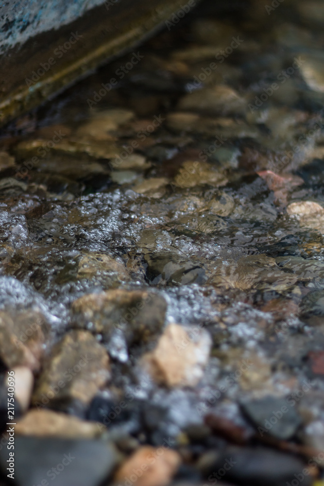 Macro of water bubbles (Jezero Modrac, Prokosovici, Bosnia) Macro of water bubbles (Jezero Modrac, Prokosovici, Bosnia)