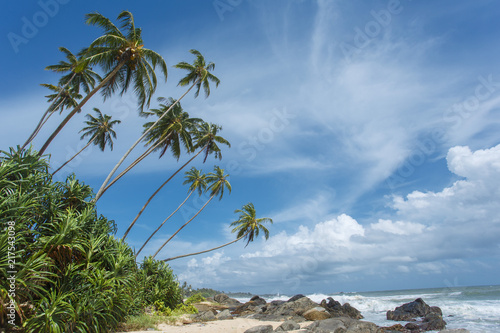 Tropical beach of Sri-Lanka