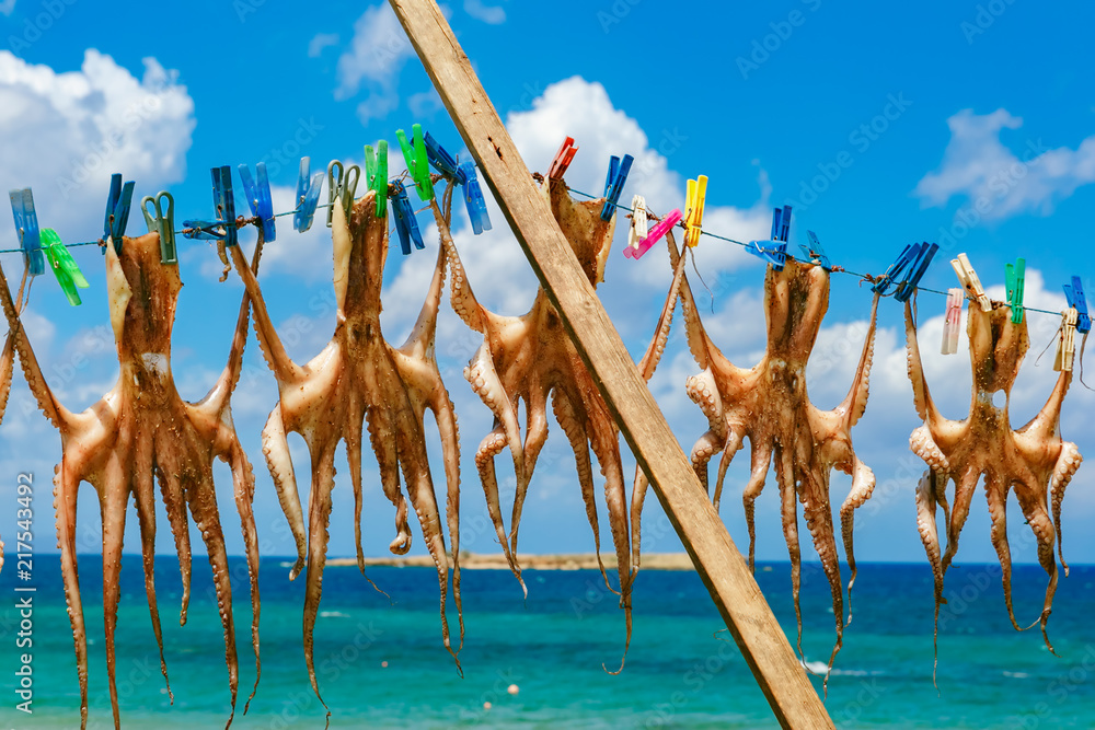 Drying octopus, traditional greek seafood in harbour of Chania in the sunny morning, Crete, Greece - obrazy, fototapety, plakaty 
