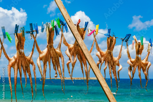 Drying octopus, traditional greek seafood in harbour of Chania in the sunny morning, Crete, Greece