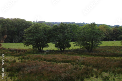 Countryside Nature Landscape Background