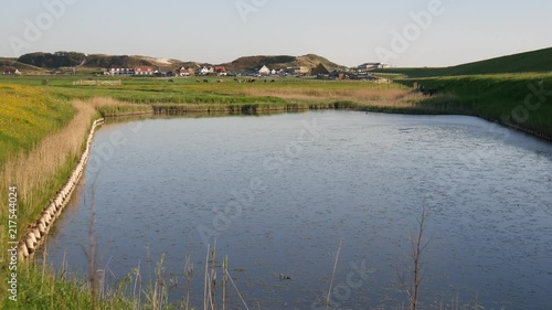 Polder Olandese photo