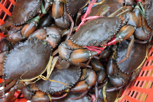 Fresh sea crabs tied by plastic rope in the red basket for selling in market