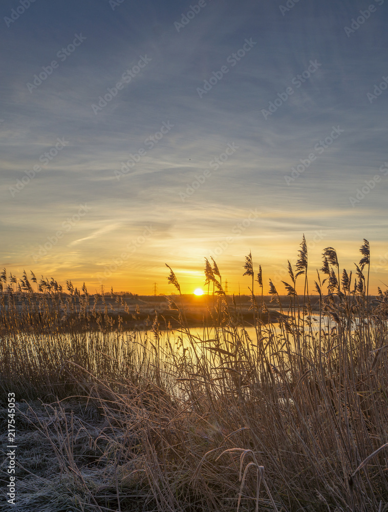  Riverbank Sunrise