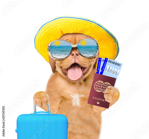 Funny puppy with summer hat and sunglasses holds suitcase, tickets and passport ready for a vacation. isolated on white background © Ermolaev Alexandr