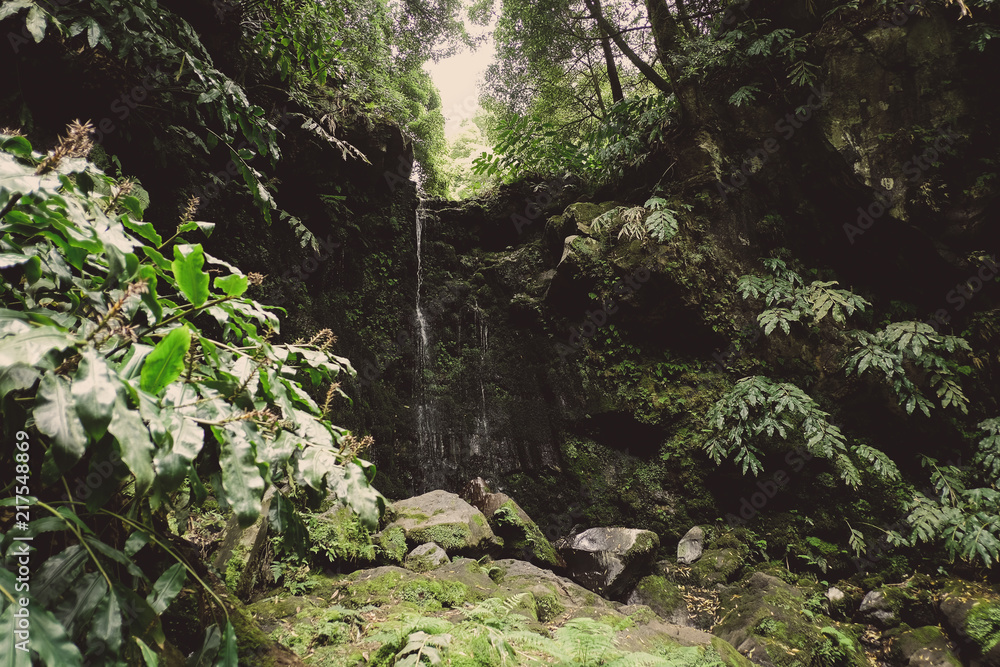 Obraz premium Foreste moderne