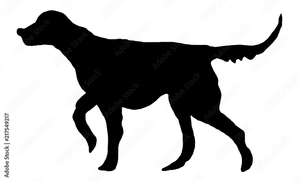 Black silhouette of setter, hunting dog. Freehand animal illustration for logos, banners, posters, prints, cards, advertising