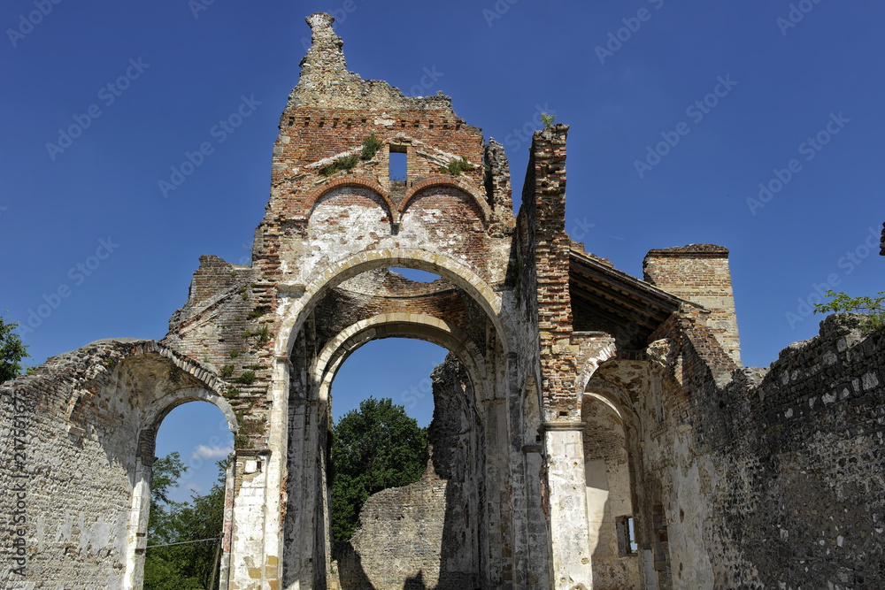 Ruins of ancient abbey