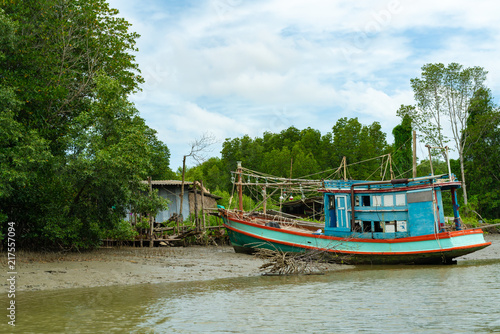 Boat and Mangrove forest, view from the water at a low tide period in Thailand.