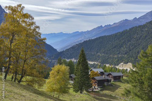 autumn coloured trees on slope of Swiss Alps