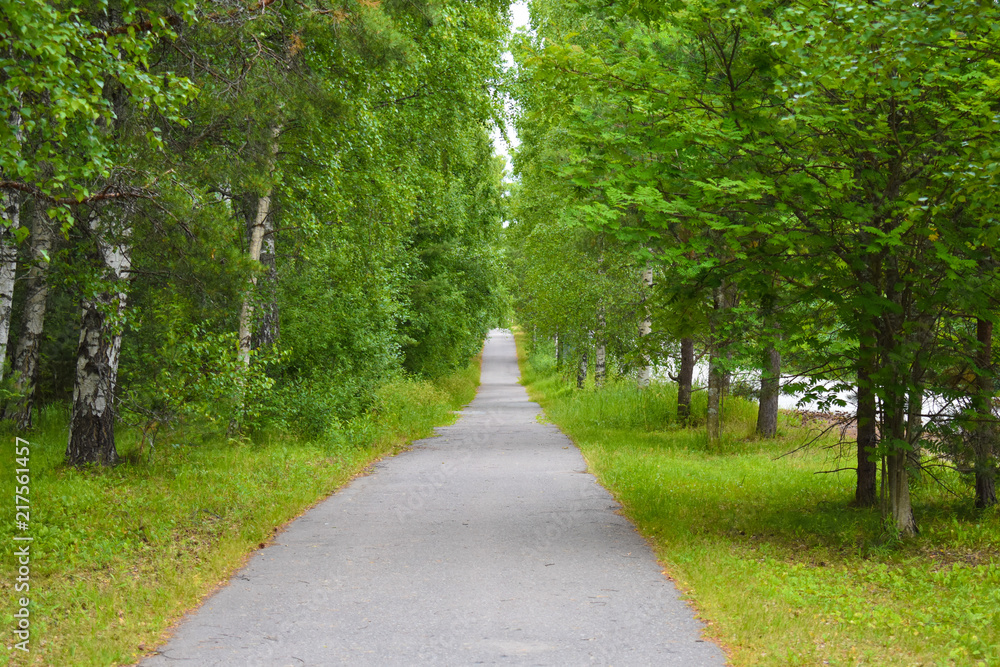 Straight pathway between green grasses and trees