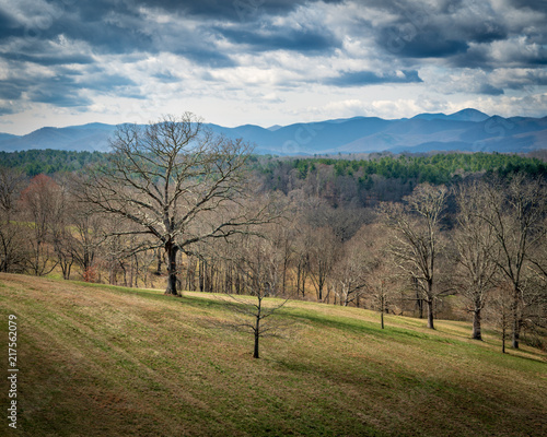 Forest and Mountains of North Carolina