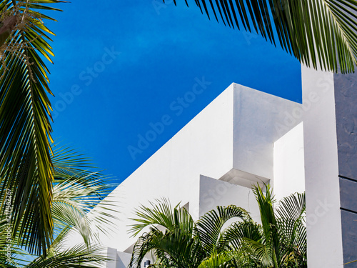 white building in palm trees